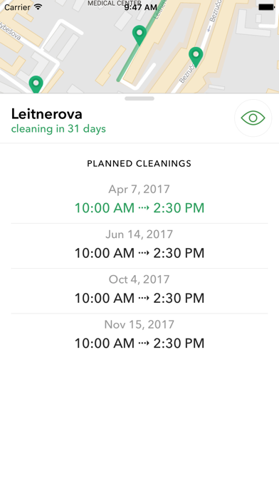 Street Cleaning in Brno Screenshot
