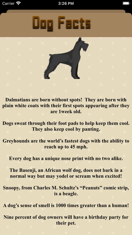 Cats And Dog Encyclopedia