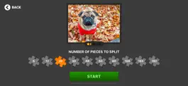 Game screenshot Jigsaw Puzzles for iPad Pro apk
