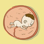 Download Fetal Movement Counter app