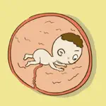 Fetal Movement Counter App Negative Reviews