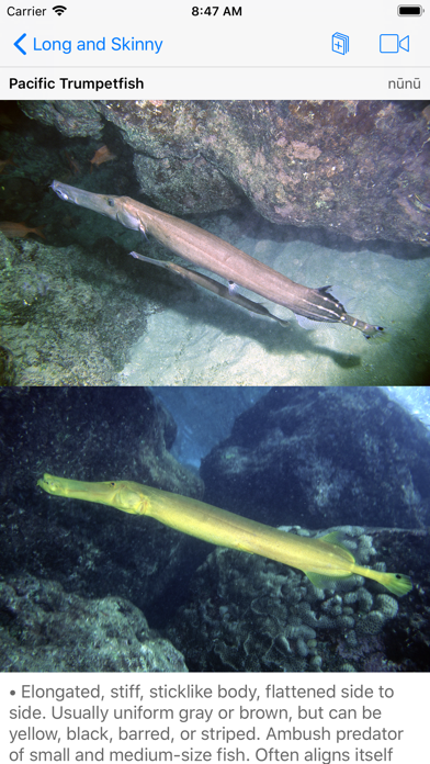 Scuba Fish Hawaii Screenshot