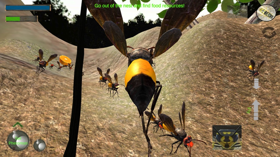 #2. Wasp Nest Simulation Full (iOS) Podle: mnhksdevelopment