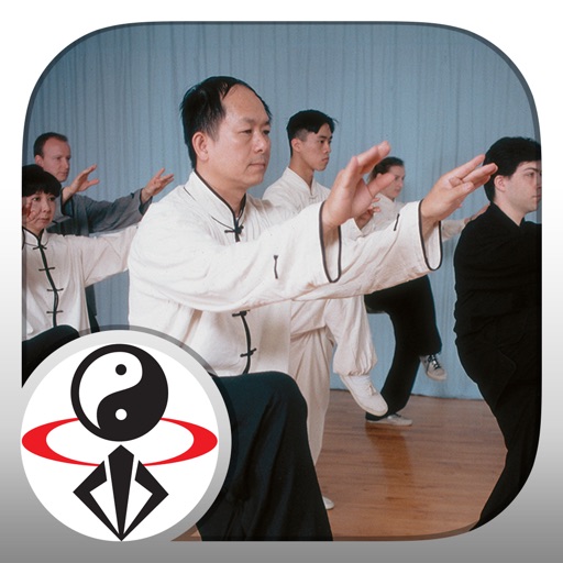 TaiChi 108 Yang Classical Form icon