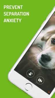 Dog Monitor iphone bilder 1