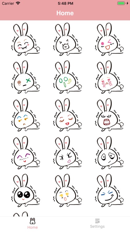 Big face rabbit