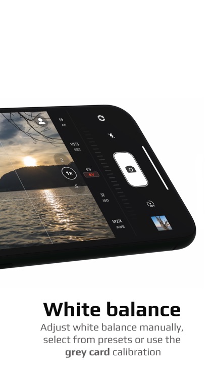 Chromatica camera screenshot-5