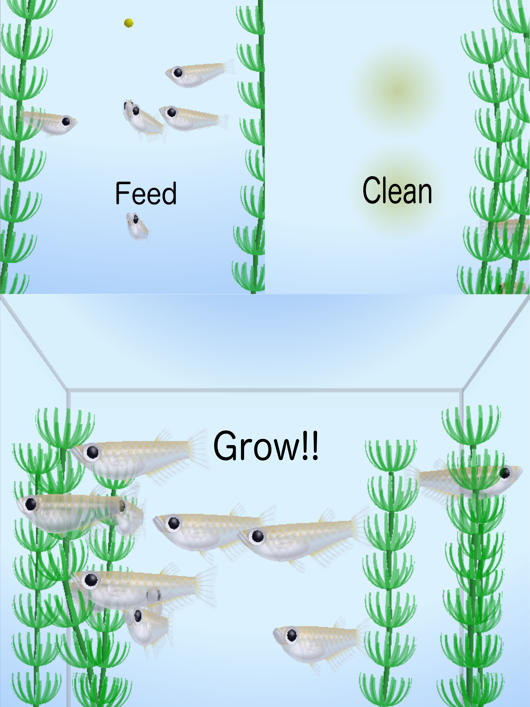 Rice Fish
