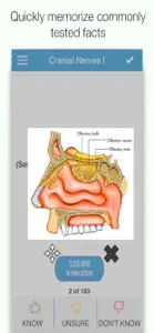 USMLE Anatomy Cram Cards screenshot #2 for iPhone