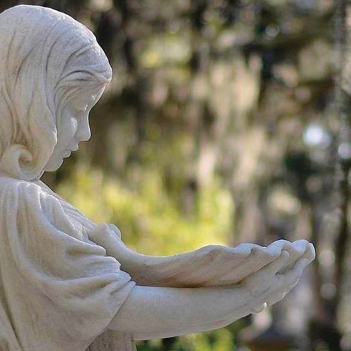 Bonaventure Cemetery Tour icon