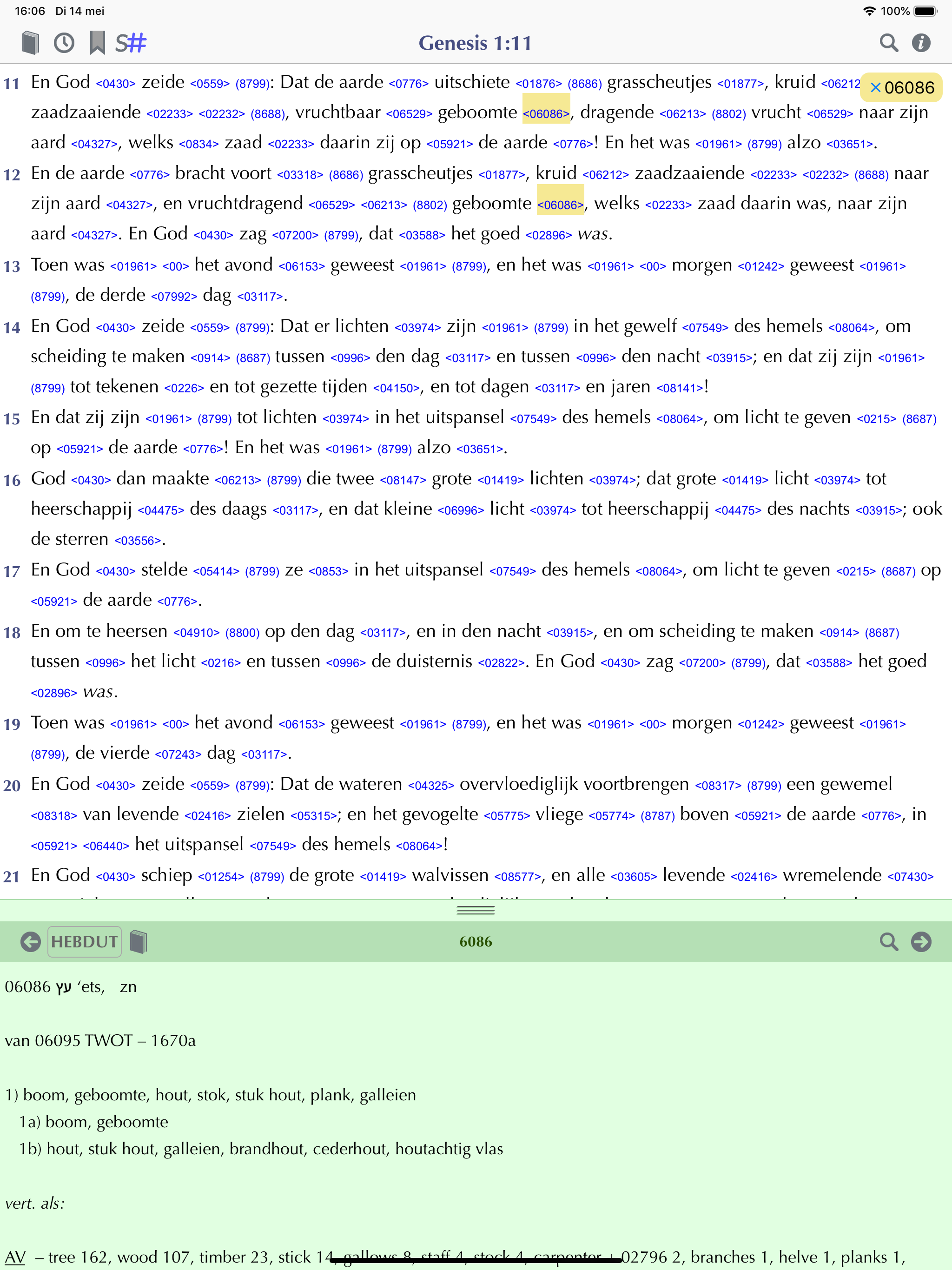 Importantia Studie Bijbel