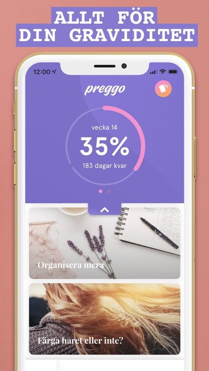 Preggo – Gravid & Lifestyle