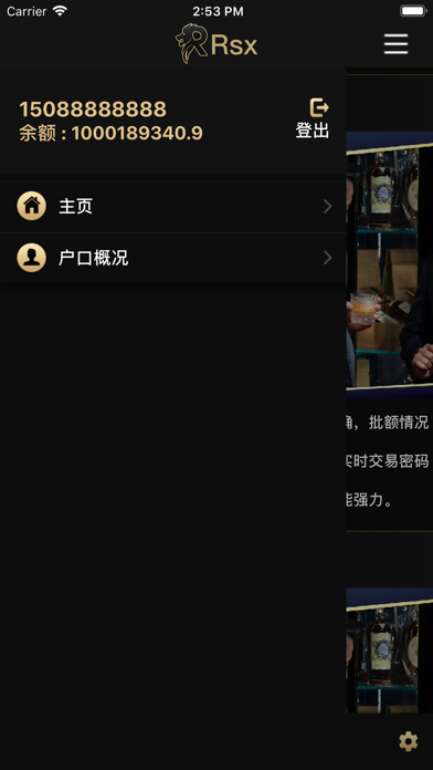 Rsx查数易 screenshot 4