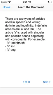 grammar basics and advanced iphone screenshot 3