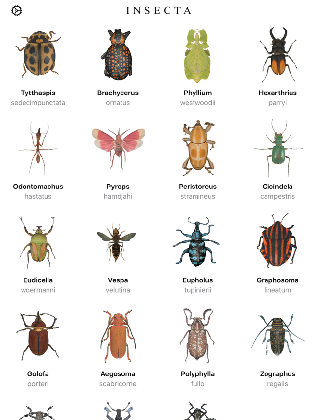 ‎Insecta - Study Insects in AR Screenshot