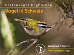 Vogel Id Schweiz iPad image 1