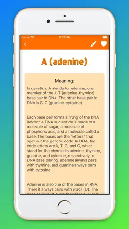 Game screenshot Medical Terminology Handbook apk