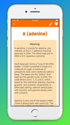 Medical Terminology Handbook screenshot 2