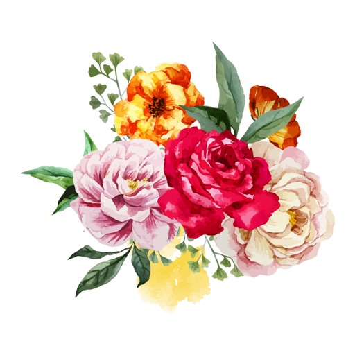 Flower Blossom Download