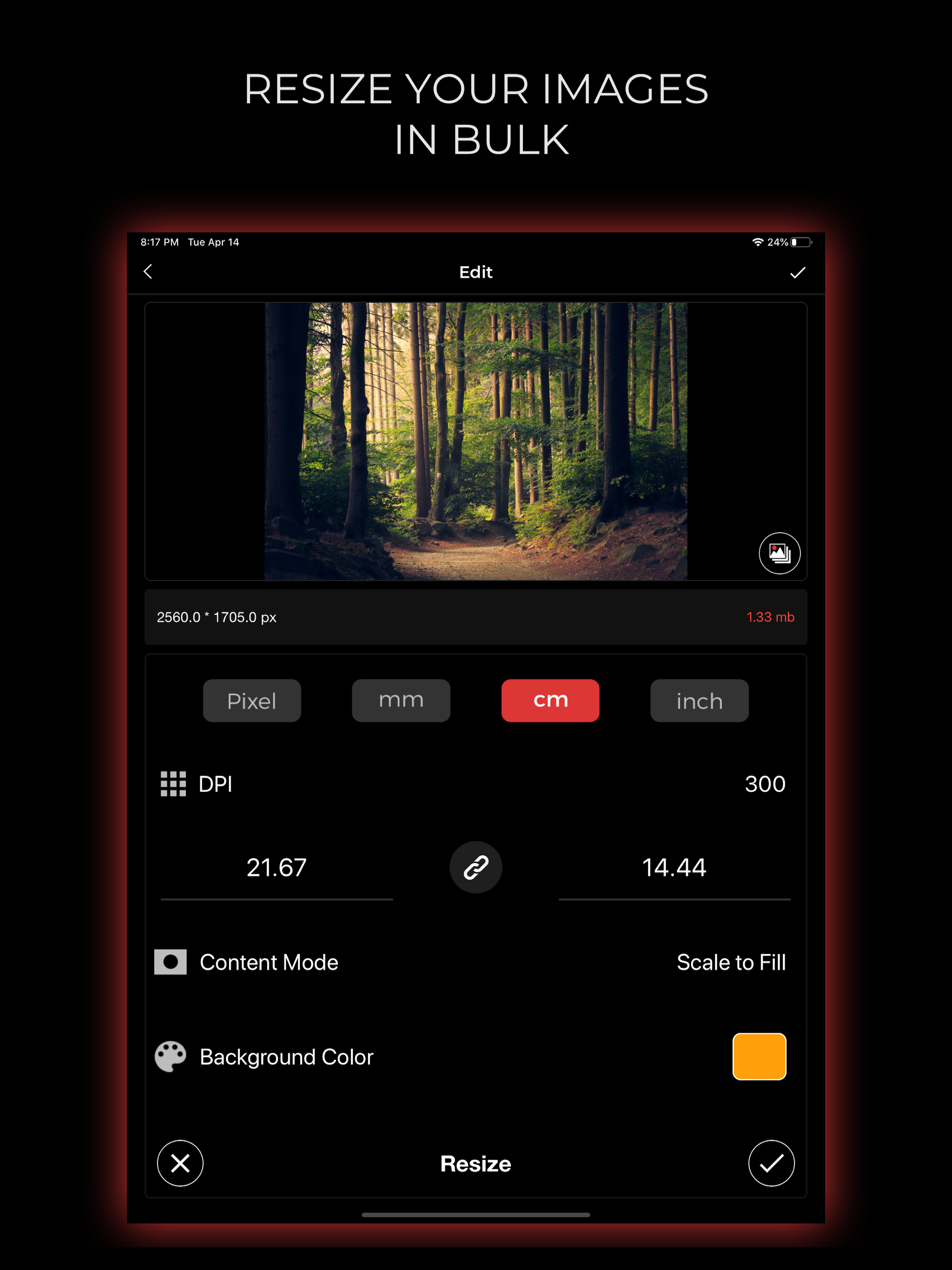 Bulk Image Editor