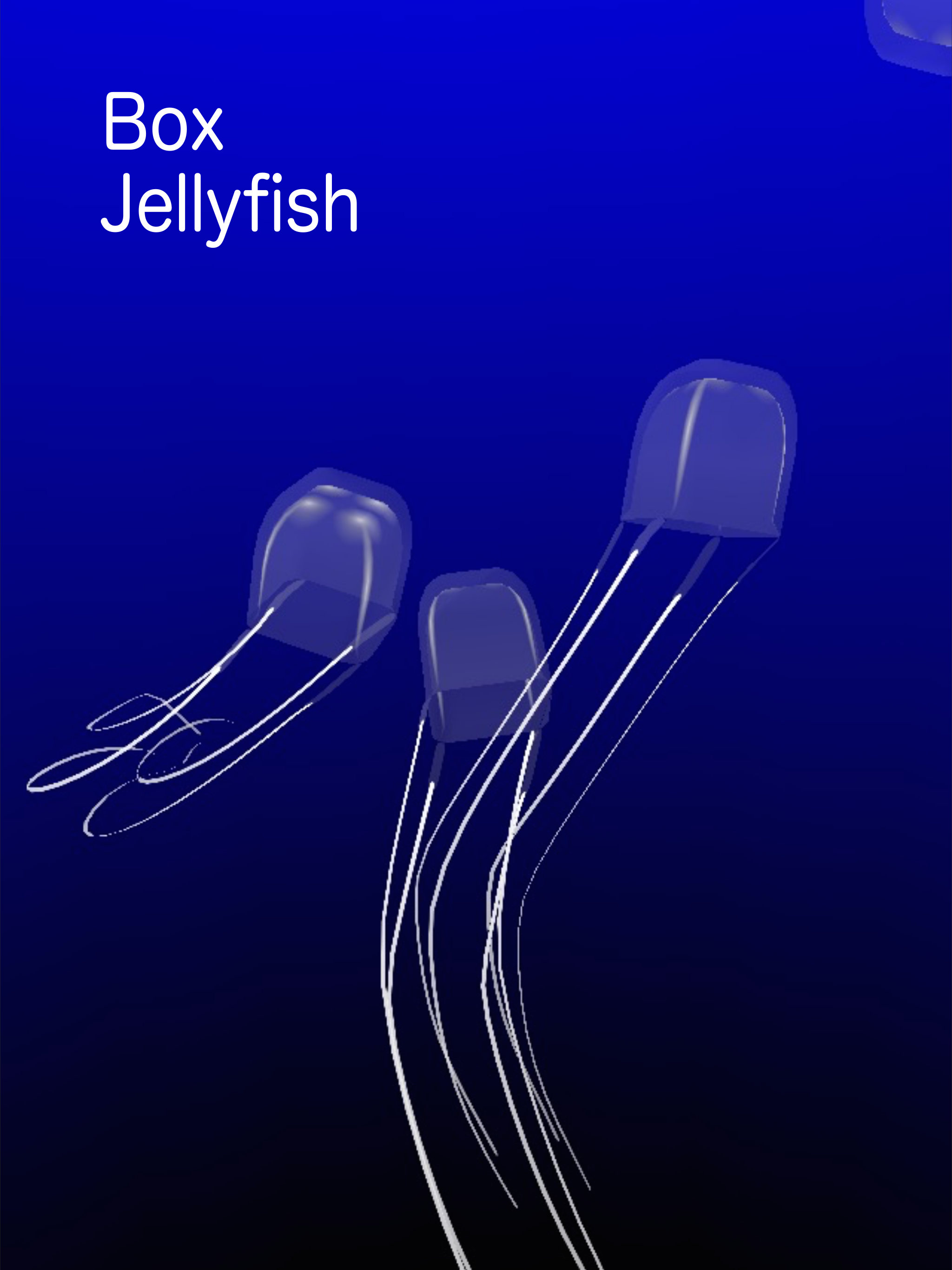 Jellyfish AR/VR