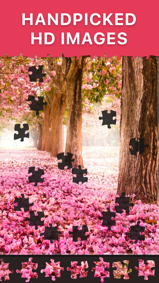 #2. Daily Jigsaw Puzzles (iOS) 게시자: Vladimir Roganov