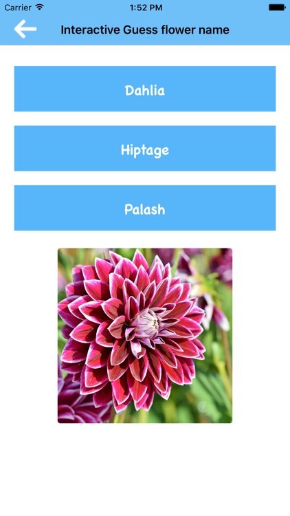 Interactive Guess flower name screenshot-6