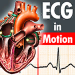 ECGinMotion Desktop