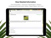 plant scan - identification айпад изображения 3