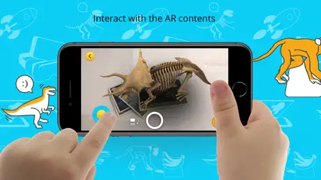 Wow 4D+