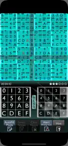 Sudoku 16x16 screenshot #1 for iPhone