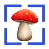 Fungi: Mushroom Identification App Feedback