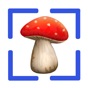 Fungi: Mushroom Identification app download