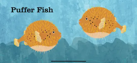 Peek-a-Zoo Underwater Sounds