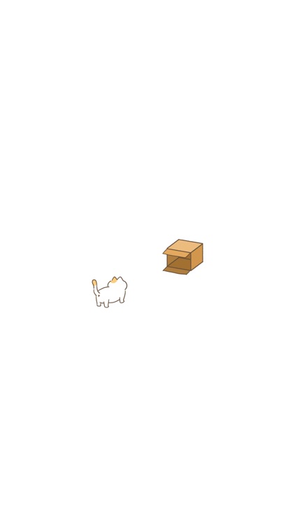 BoxCat-Come on in cat