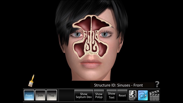 Sinus ID