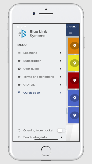 BlueLink Acces Screenshot