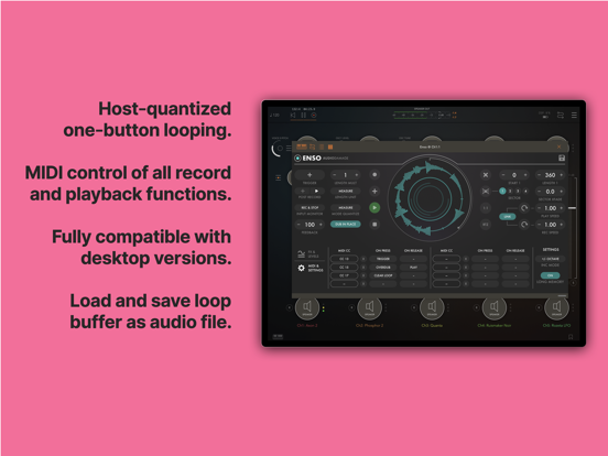 Enso Looper iPad app afbeelding 3