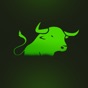 Bull Adventures Game! app download
