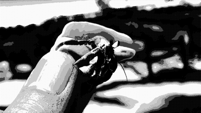 yuCamera iPhone screenshot 4 - Photo & Video app