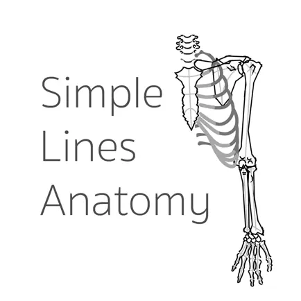 Simple Lines Anatomy Читы