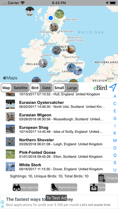 Big Year Birding GB Screenshot