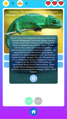 Game screenshot Природа и животные - викторина hack