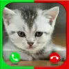 Cat Fake Call Prank For Kids delete, cancel