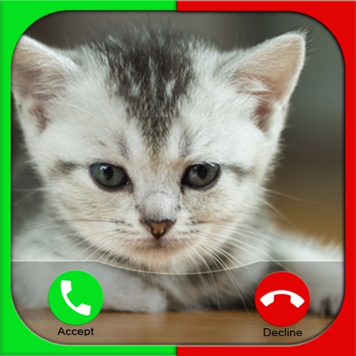 Cat Fake Call Prank For Kids