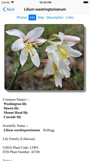 Oregon Wildflower Search screenshot 3