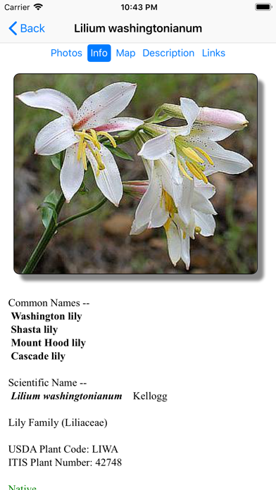 Oregon Wildflower Search Screenshot