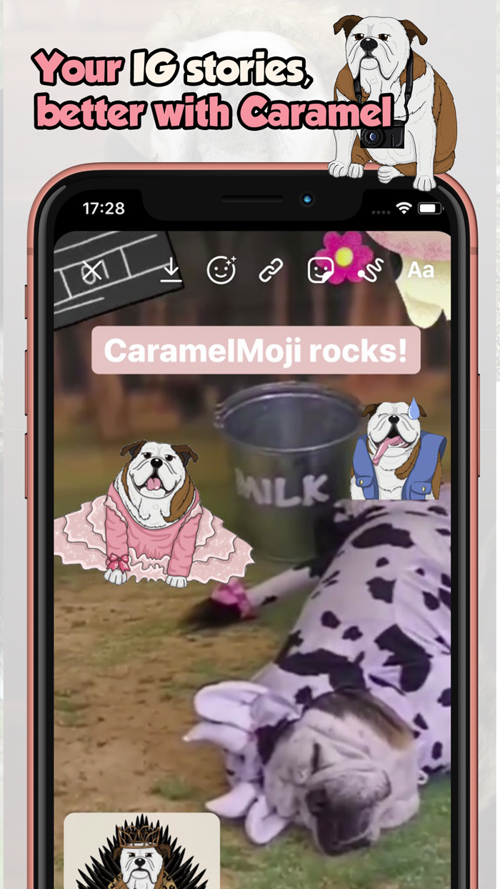 CaramelMoji - Bulldog Stickers