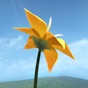 Flower app download