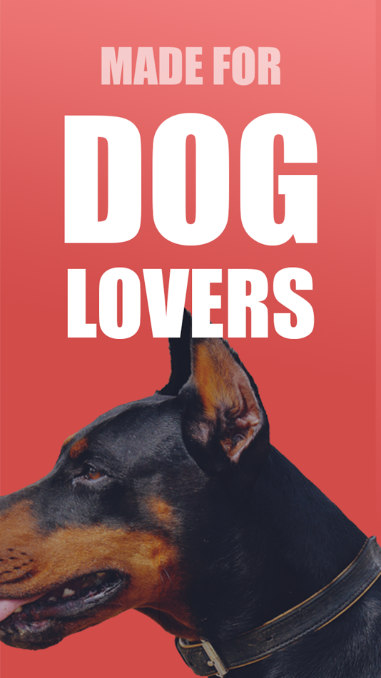 Dog Breed Training: Pet Trivia - 1.4 - (iOS)